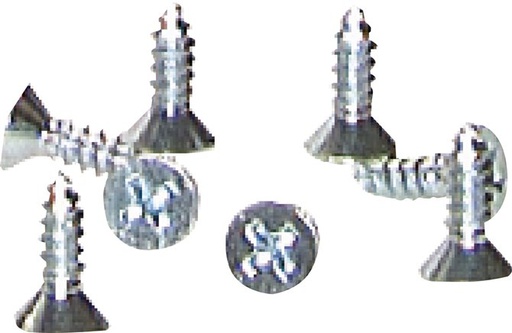 [F23GC-X20] Screws (4.8 x 13 mm) For Sandblast Coupling [20 Pieces]