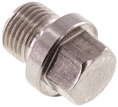 [F2EJ6-X2] Plug G1/8'' RVS met Kraag En Buitenzeskant 40bar [2 Stuks]