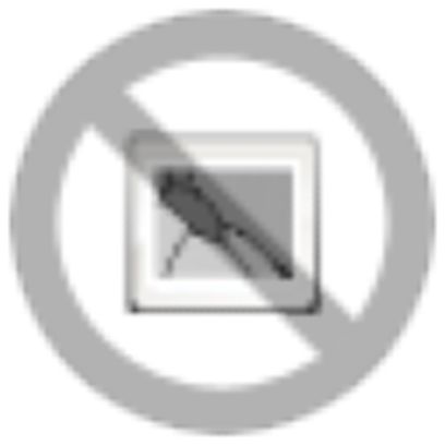 [E2CZT] Phoenix Contact ST Relais auxiliaire - 2823625