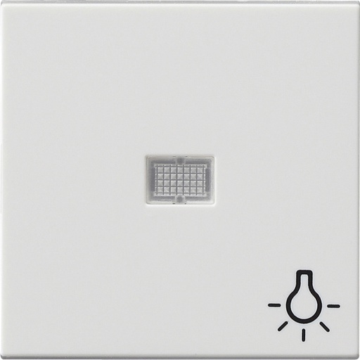 [E2H5U] Gira System 55 Control Element/Central Plate Switchgear - 063003