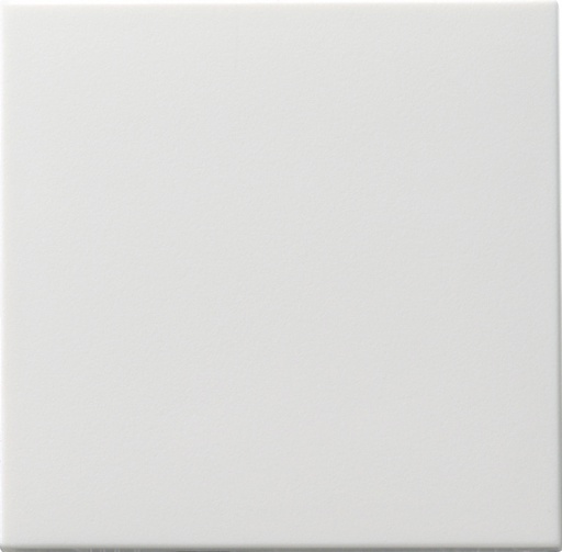 [E2H5J] Gira System 55 Elément de commande/appareil de commutation à Plaque centrale - 091603