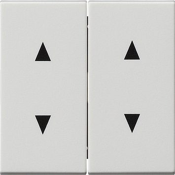 [E2H5X] Gira System 55 Control Element/Central Plate Switchgear - 115027