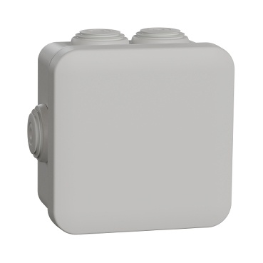 [E2HKC] Schneider Electric Sarel MUREVA Boîtier Mural/Plafonnier En Saillie - ENN05004