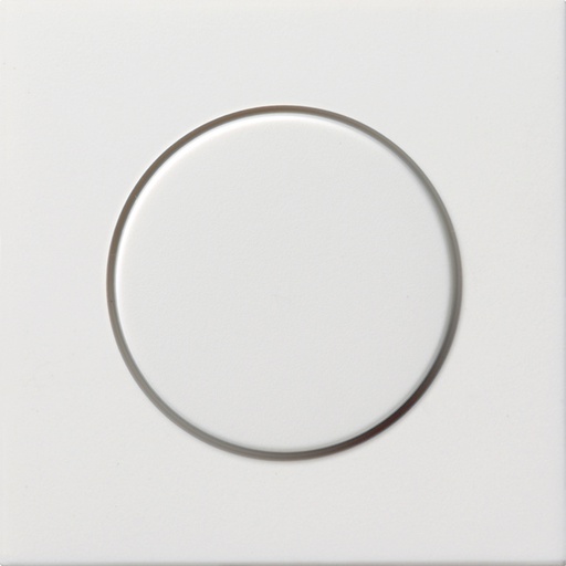 [E2JV2] Gira F100 Elément de commande/appareil de commutation à Plaque centrale - 0650112