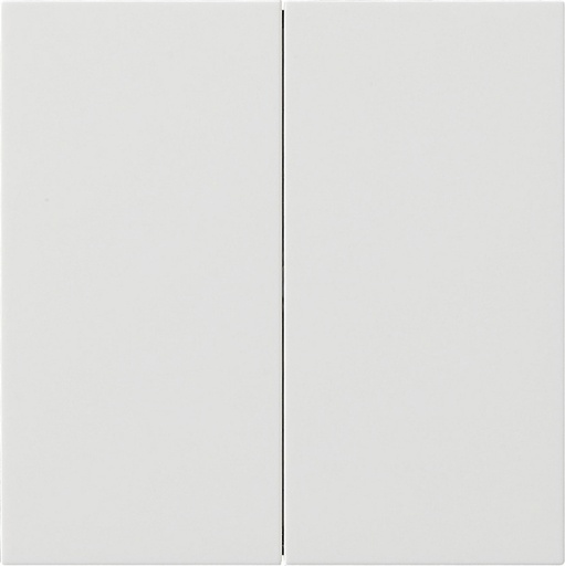 [E2KV4] Elément De Commande Intelligent Gira System 3000 - 5362112