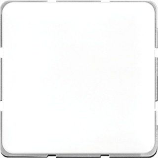 [E2U46] Jung CD500 Control Element/Central Plate Switchgear - 594-0