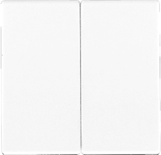 [E2U66] Jung LS990 Élément de commande/plaque centrale - LS995