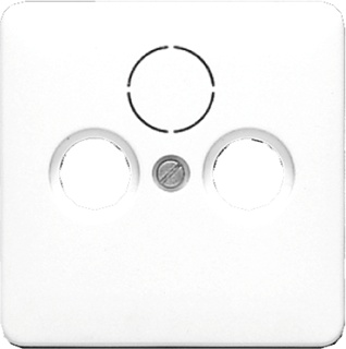 [E2U8W] Jung CD500 Plaque D'insertion Commutateur - 561SAT