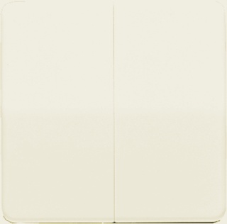 [E2V2P] Jung CD500 Control Element/Central Plate Switchgear - CD595BF