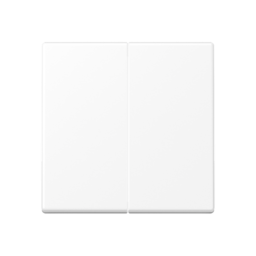 [E2VZ3] Jung A RANGE Control Element/Central Plate Switchgear - A595WWM