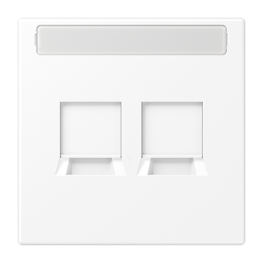 [E2W2C] Jung LS RANGE Inset Plate Switchgear - LS1969-2NAWEWWM