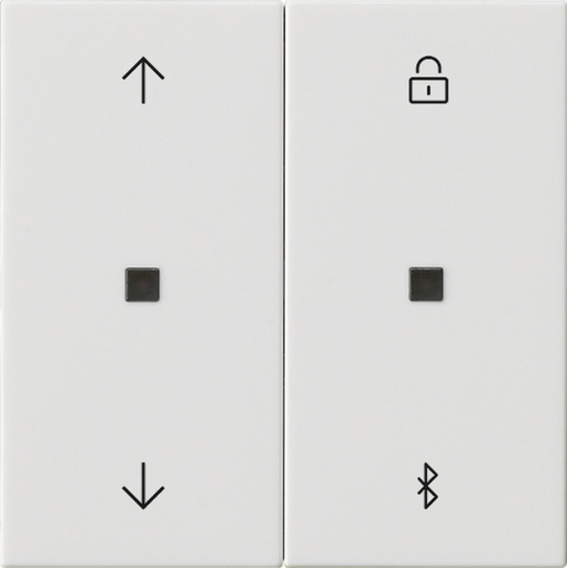 [E2YDA] Gira System 3000 Intelligent Control Element - 536703