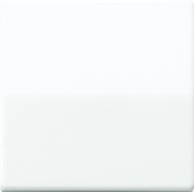 [E32RF] Jung AS500 Control Element/Central Plate Switchgear - AS591BFWW