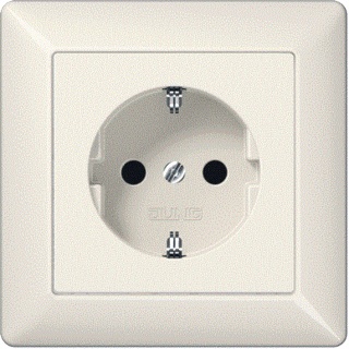 [E36FU] Caja De Enchufes De Pared Jung (interruptor WCD) (Enchufe Europeo) - AS1520N
