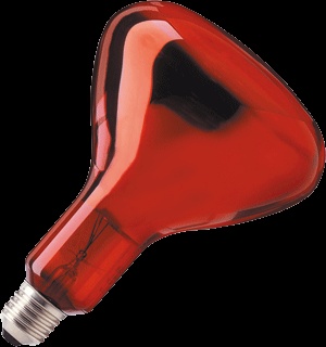 [E3AHF] Philips Infrared Light bulb With reflector - 57521025