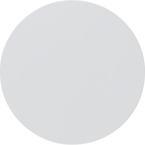 [E2SZ3] Hager Berker R.1/R.3 Elemento De Control/Conmutador De Placa Central - 16202089