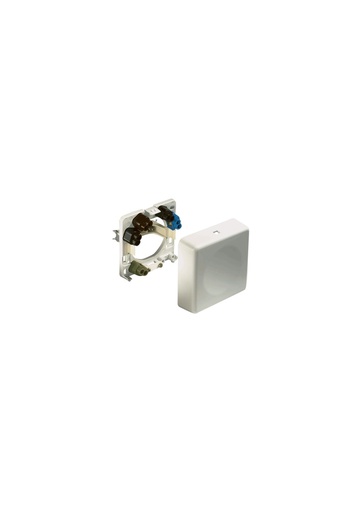 [E3DJM] ABL Connectivity Flush/Surface Mounted Dedicated Socket - White - 2505210