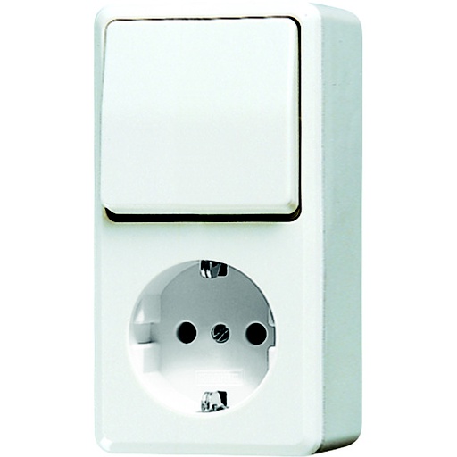 [E3DN2] JUNG AP600 Combination Switch Outlet RA Alpin White - 676AWW
