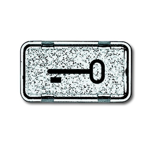 [E3FD9] ABB Busch-Jaeger Key Symbol for 2106 IP44 Rocker Switch - 2CKA001714A0286