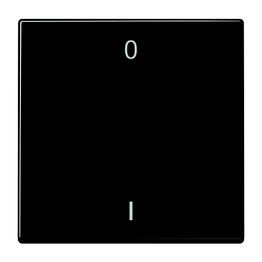 [E3GA7] Transmisor inalámbrico de pared Jung EnOcean LS990 Negro 2 canales Símbolos - ENOLS990-01SW