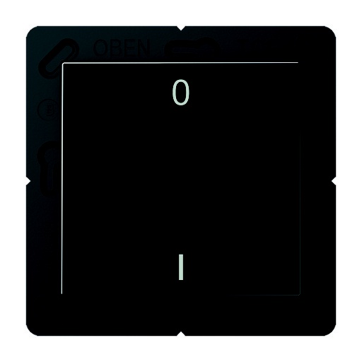 [E3GAD] Jung EnOcean Draadloze Wandzender A500 Zwart 2-Kanaals Symbool - ENOA590-01SW
