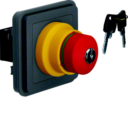 [E3QPJ] Emergency Push Button Switch With Key Lock - 44713515