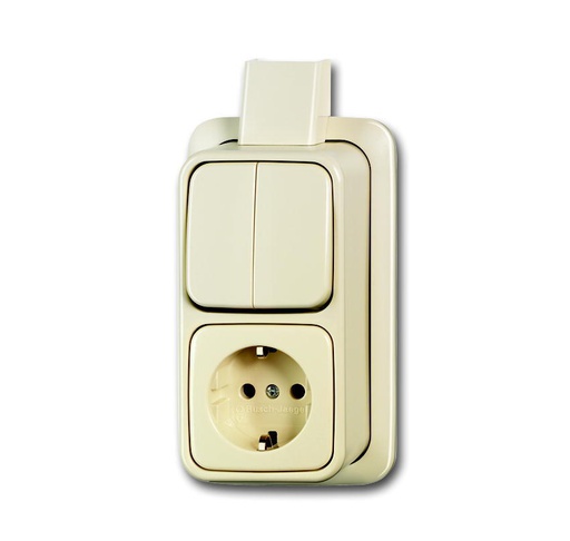 [E3J9A] ABB Busch-Jaeger Combination Switch Socket With Mounting Plate - 2CKA001641A0234