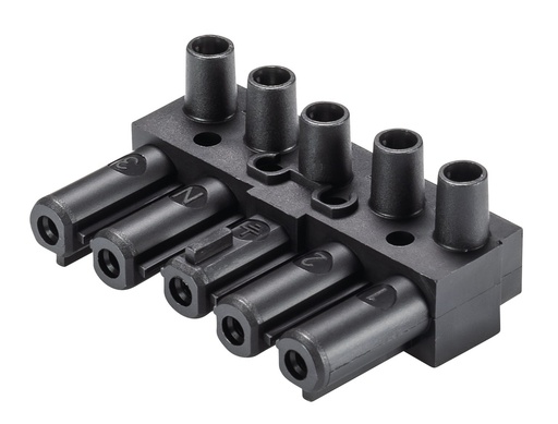[E3JM5] Wieland Gesis Classic Device Connector 5P 20A - 92.051.3253.1