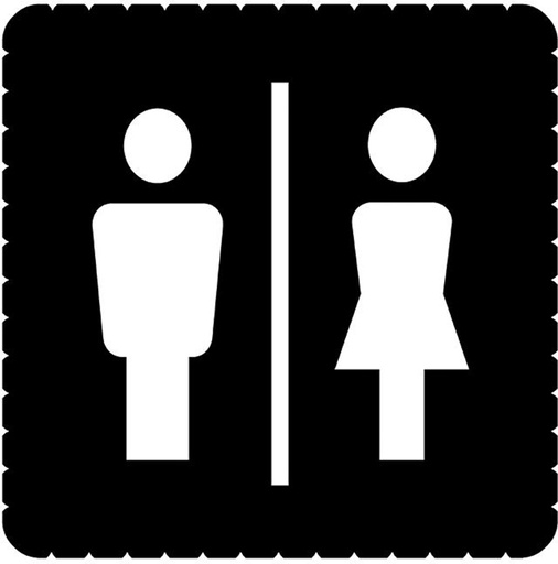 [E3N2T] ABB Busch-Jaeger 2145/41-19 Ice Light Pictogram Toilet - 2CKA001714A0315