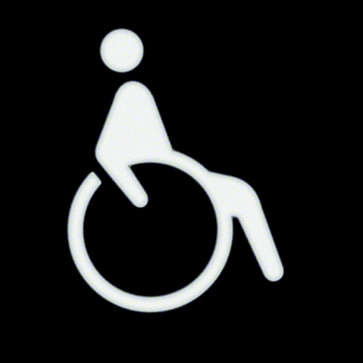 [E3SN2] Hager Berker Square Foil With Wheelchair Symbol For LED Light - 19058003