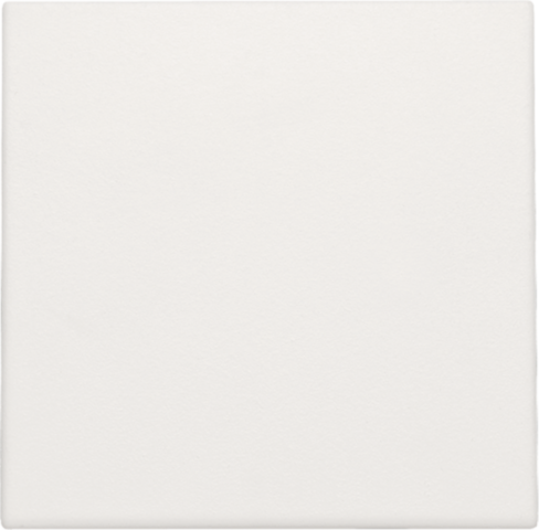 [E2M6B-X2] Niko Origineel Bedieningselement/Centrale Plaat Schakelmateriaal - 101-76001 [2 stuks]