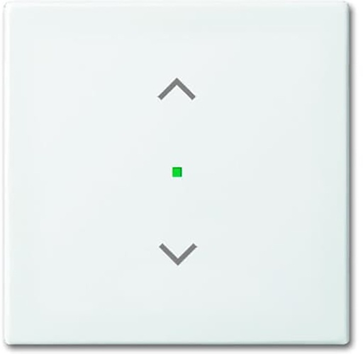[E379S-X2] ABB Busch-Jaeger Busch-FreeAtHome Control Element/Central Plate Switchgear - 2CKA006220A0357 [2 Pièces]