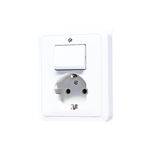 [E3TF5] JUNG CD500 Interruptor Toma Combinado Con Contacto A Tierra - 5576EUWW