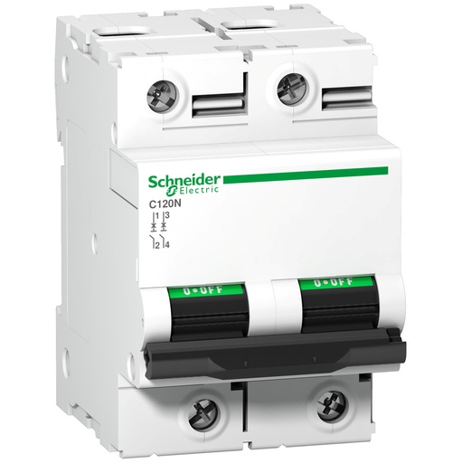 [E3TUZ] Schneider C120N 2P 100A Interruptor Automático 10kA - A9N18362