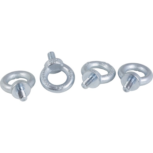 [E3VRP] Schneider Electric M12 Lifting Eyes - NSYSFEB [4 Pieces]