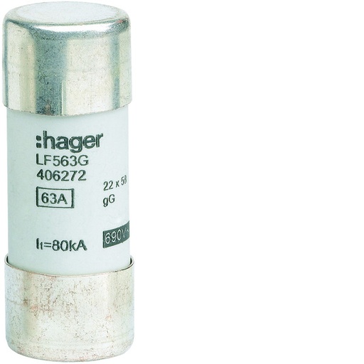 [E3VV3] Fusible Cylindrique Industriel 63A 690V 22x58mm Type gG - LF563G