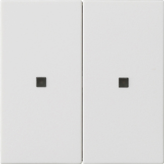 [E3XQU] Gira System 55 Dual Rocker Switch Blank Control Window - 536927