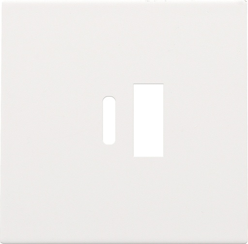 [E3XT4] Dual Smart USB-A And USB-C Charger Cover Plate White - 154-68002