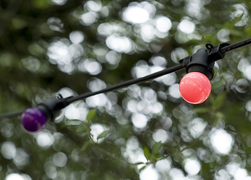 [E3Y6N] Bailey Led Boule De Fête G45 E27 1W Violet - 143329