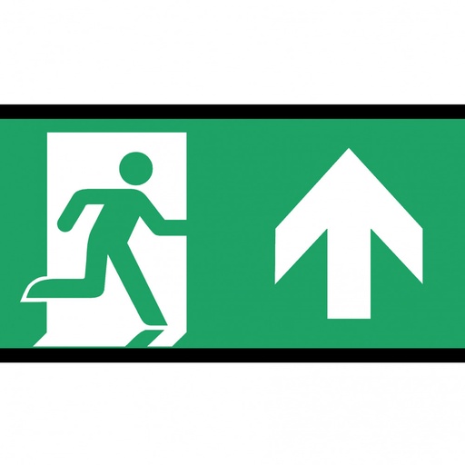 [E3YCF] D-Sign Cinéma Signalisation De Sortie De Secours Dimmer Unilatérale Vers Le Haut - 393781