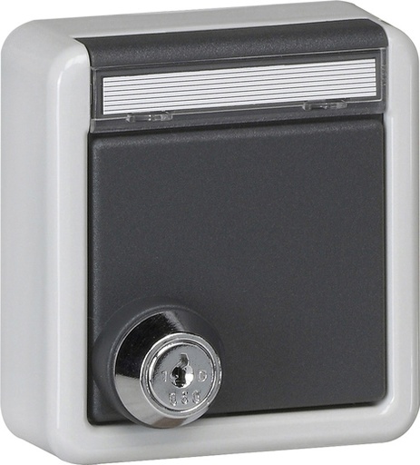 [E3ZEW] Gira IP44 Prise Schuko Avec Verrou Et Cadre D'Étiquette - 456735