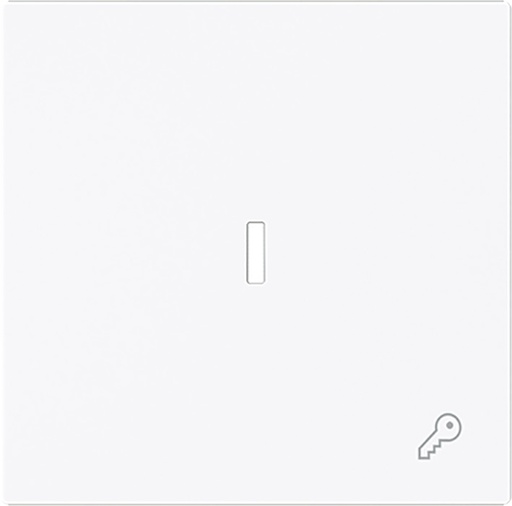 [E3ZJK] ABB Busch Interruptor De Palanca Simple Con Símbolo De Llave Y Lente - 2CKA001751A3377