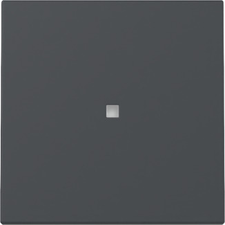 [E3ZRN] Gira System 55 Anthracite Rocker Switch With Control Window - 329028