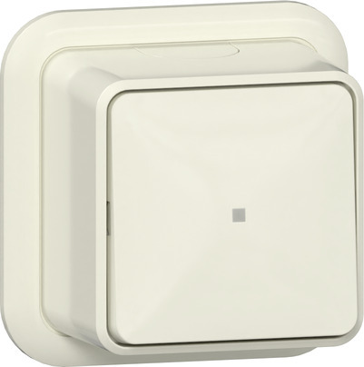 [E3ZS5] Gira Surface Mount Push Button Switch With Control Window - 315210