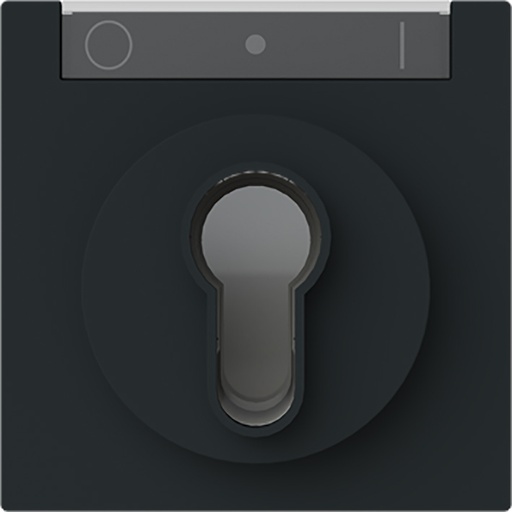 [E3ZUD] ABB Busch-Jaeger Interruptor De Llave Placa De Control IK03 Negro - 2CKA001710A4160