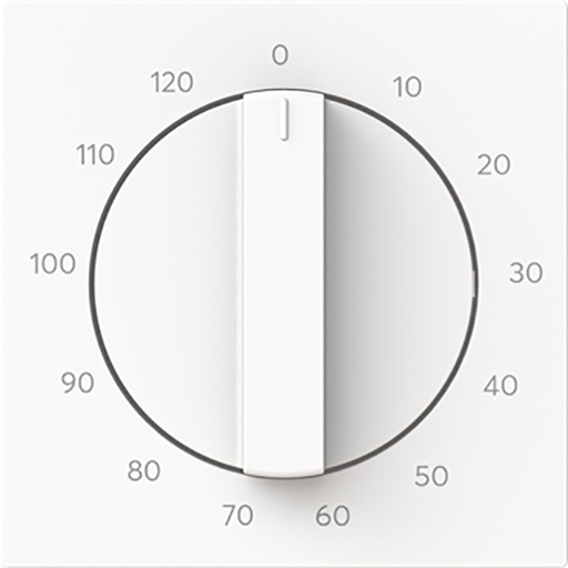 [E3ZU5] ABB Busch Timer Steuerplatte Mit 120 Min Drehknopf - 2CKA001753A9979