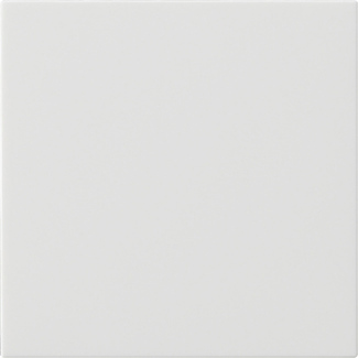 [E3YNF-X2] Gira System 55 Single Rocker Switch Blank Pure White - 537203 [2 Pieces]